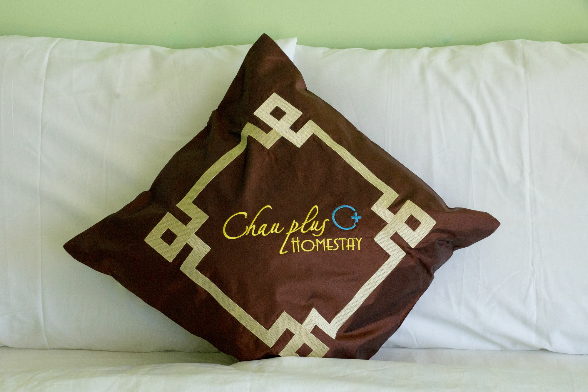 Chau Plus Homestay Hoi An Eksteriør billede